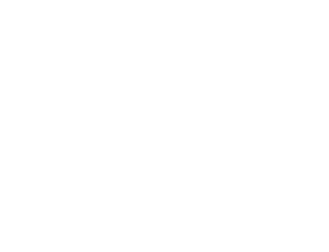 Home Show logo