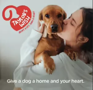 God's Dogs Taylor's Wish