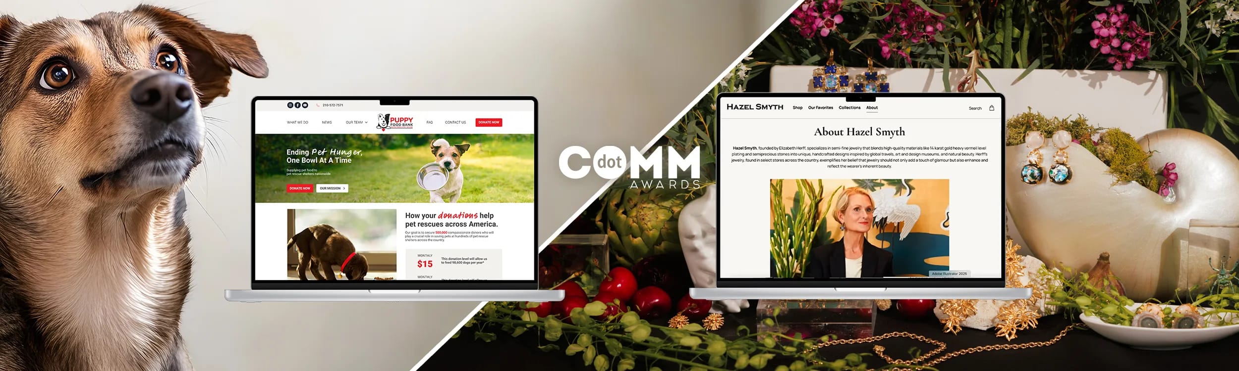 Noisy Trumpet Wins Two dotCOMM Awards for Website Design Excellence