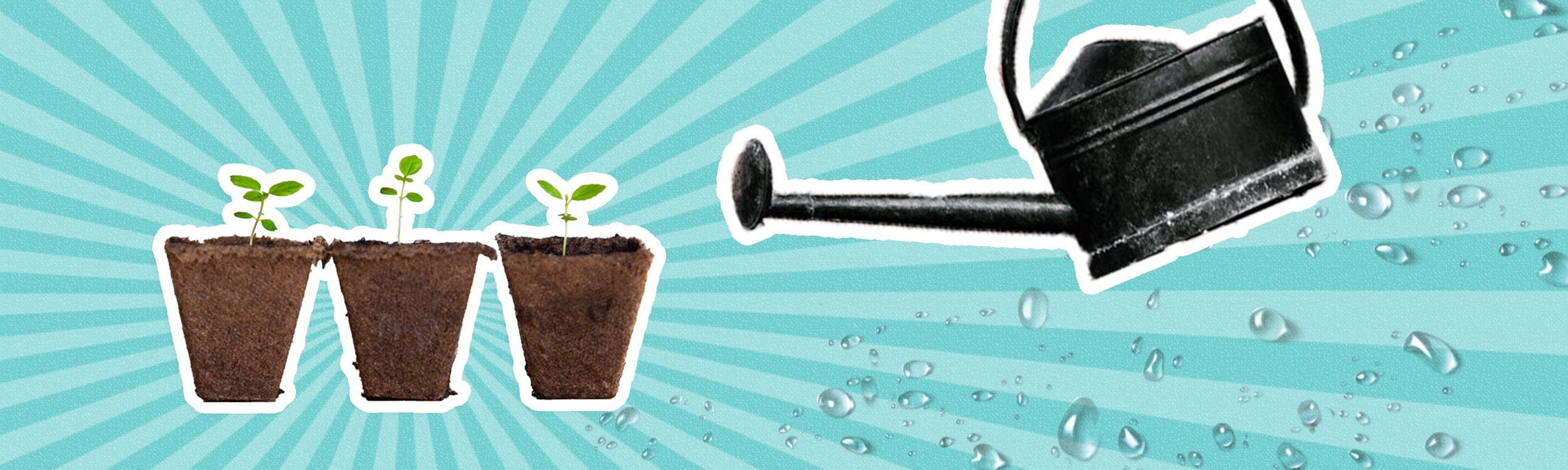 Working with Nonprofits